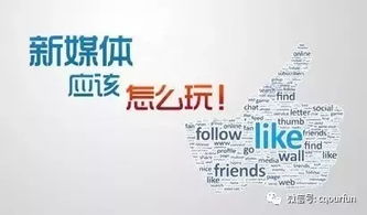 新媒體營(yíng)銷(xiāo)策劃 引爆行業(yè)市場(chǎng)的全鏈路策略與實(shí)戰(zhàn)